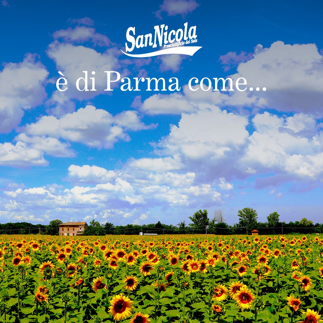 San Nicola è di Parma come...i campi di girasoli