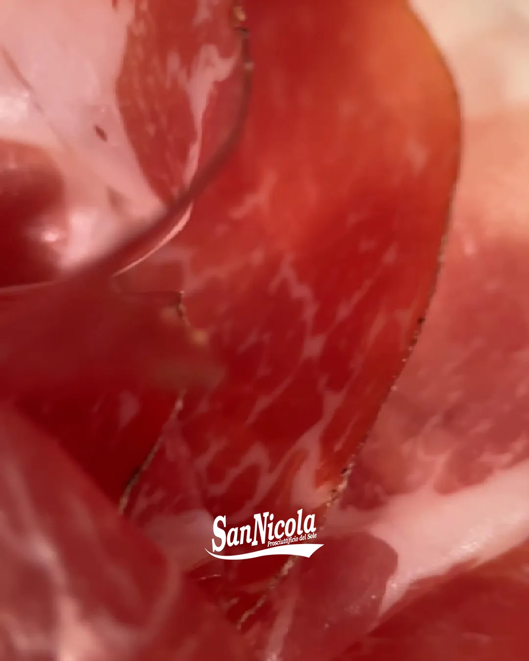 Focus San Nicola, Coppa Vittoria.